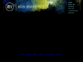 ronartistguam.com