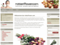 rottenflower.com