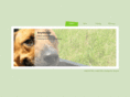 anymouse.org