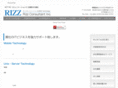 rizz-consultant.com