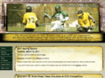 stannesports.com