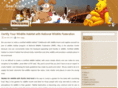 bearknow.com