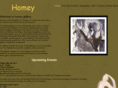 ilovehomey.com