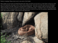 kingsnake.org