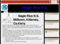 naglericens.com