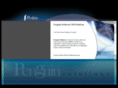 penguinsolutions.net