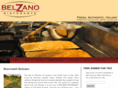 belzano.com