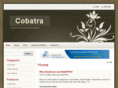 cobatra.com