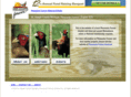 pheasantsforever615.org