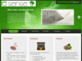 esenseinc.com