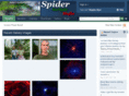 spiderbg.net