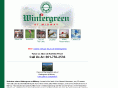 wintergreenatmidway.com