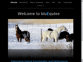 blueequine.net