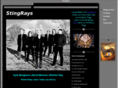 stingraysaustin.com