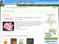 coolspringspress.com