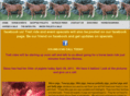 rollinghillstables.com