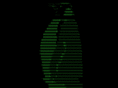 asciihost.com