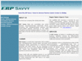 erpsavvy.com