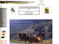 spirigsaddlery.com