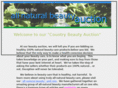 allnaturalbeautyauction.com