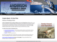 andersonplumbinganddrain.com