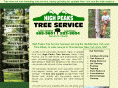highpeakstreeservice.com