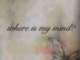 wimm-butterfly.com