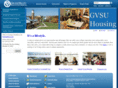 gvsudowntown.com