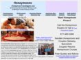 honeymoontravelagent.com