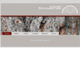 schreinerei-baumgartner.com