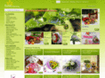 floristonline.com.sg