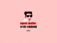 agent-muller.com