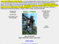 bullpacs.com