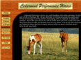 cedarwindhorses.com