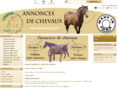 cheval-madeinjura.com