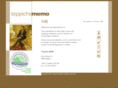 teppiche-memo.com