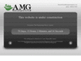assetmanagementgrpinc.com