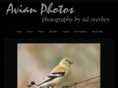 avianphotos.com