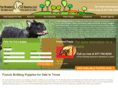 frenchbulldogbreedersintexas.com