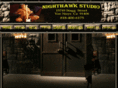 nighthawk-studio.com
