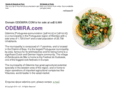 odemira.com