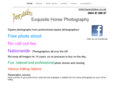ponytales.co.uk