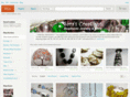 sarascreations.com