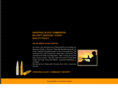 commandosecurityforce.com