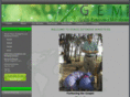 graceextendedministries.org