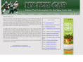 nyjetscap.com