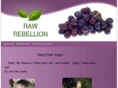 rawrebellion.com