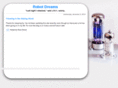 robotdreams.net