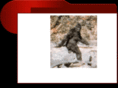 sasquatchgraphics.com