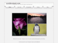 scottbroland.com